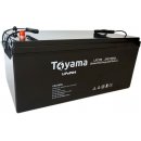 Akumulator litowy Toyama LFP 100 LiFePO4 100Ah 24V z BMS